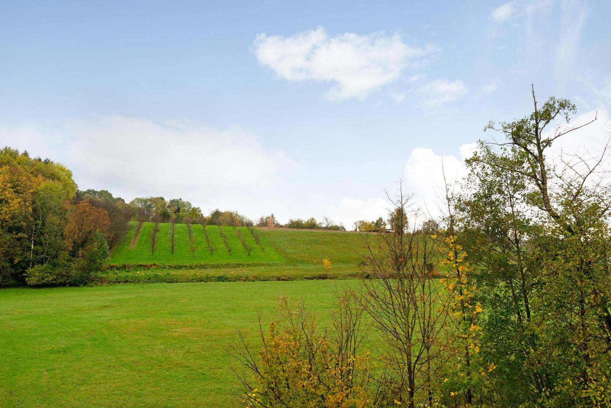 Ferienwohnung Schwarzwaldtani - Doerfle Weier Exterior foto